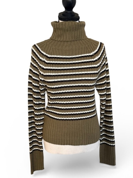 Bluenotes Sweaters - Bluenotes Ribbed Striped Turtleneck Sweater XL Earthy Neutral Fitted‎ Knit Cozy